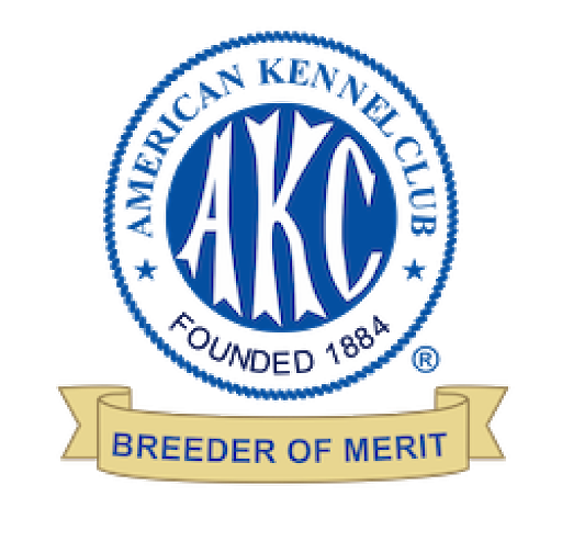 AKC Breeder of Merit